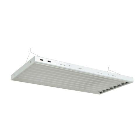 Senua T5 Propagation Light