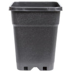 PotKing Black Square Pot