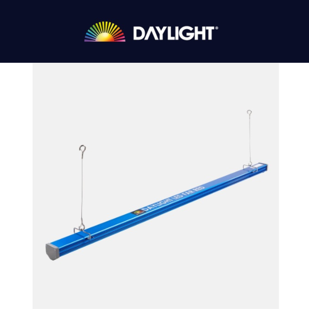 Maxibright Daylight LED Far Red 60W