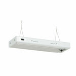 Senua T5 Propagation Light