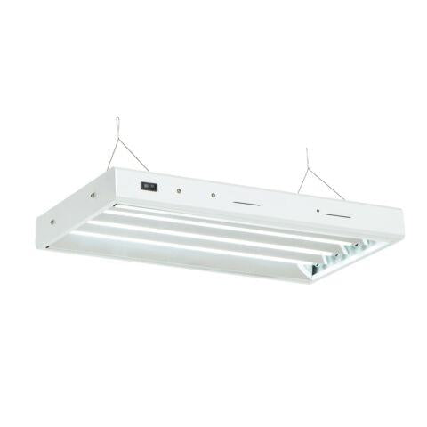Senua T5 Propagation Light