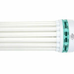 CFL 300w Grow Light Blue Red 2700 6400 Dual Spectrum Bulb Veg Flower Hydroponics