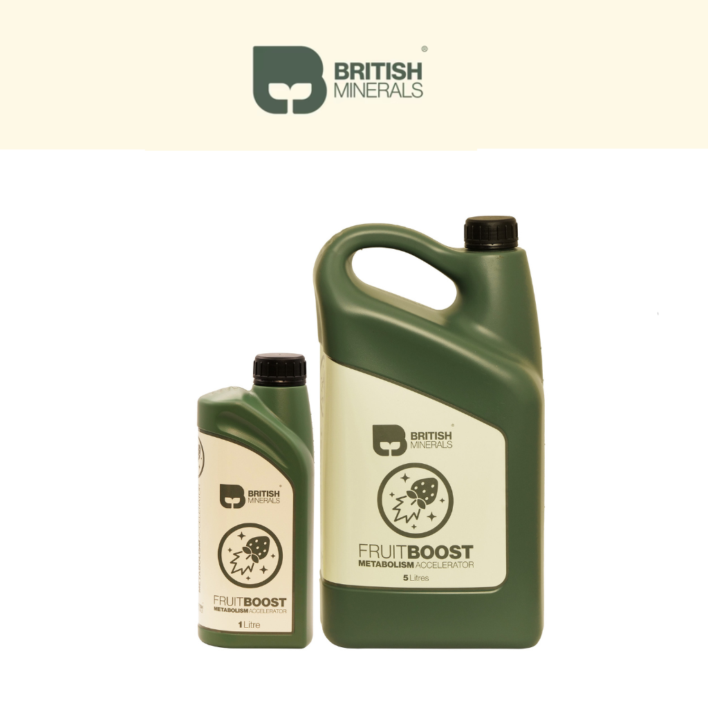 British Minerals Fruit Boost