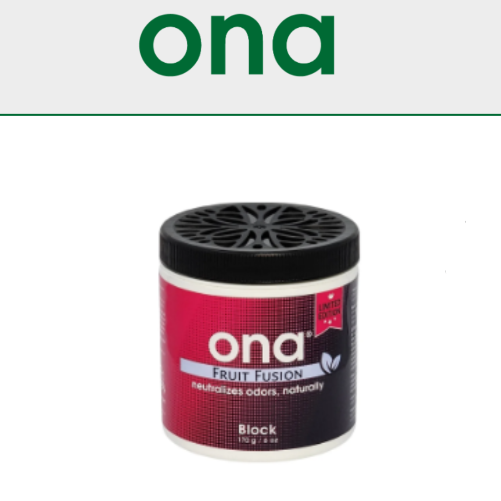 ONA Blocks