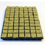 Cultiwool Cubes 77 Tray