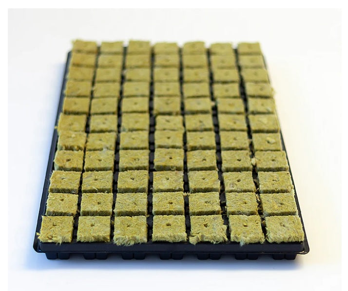 Cultiwool Cubes 77 Tray