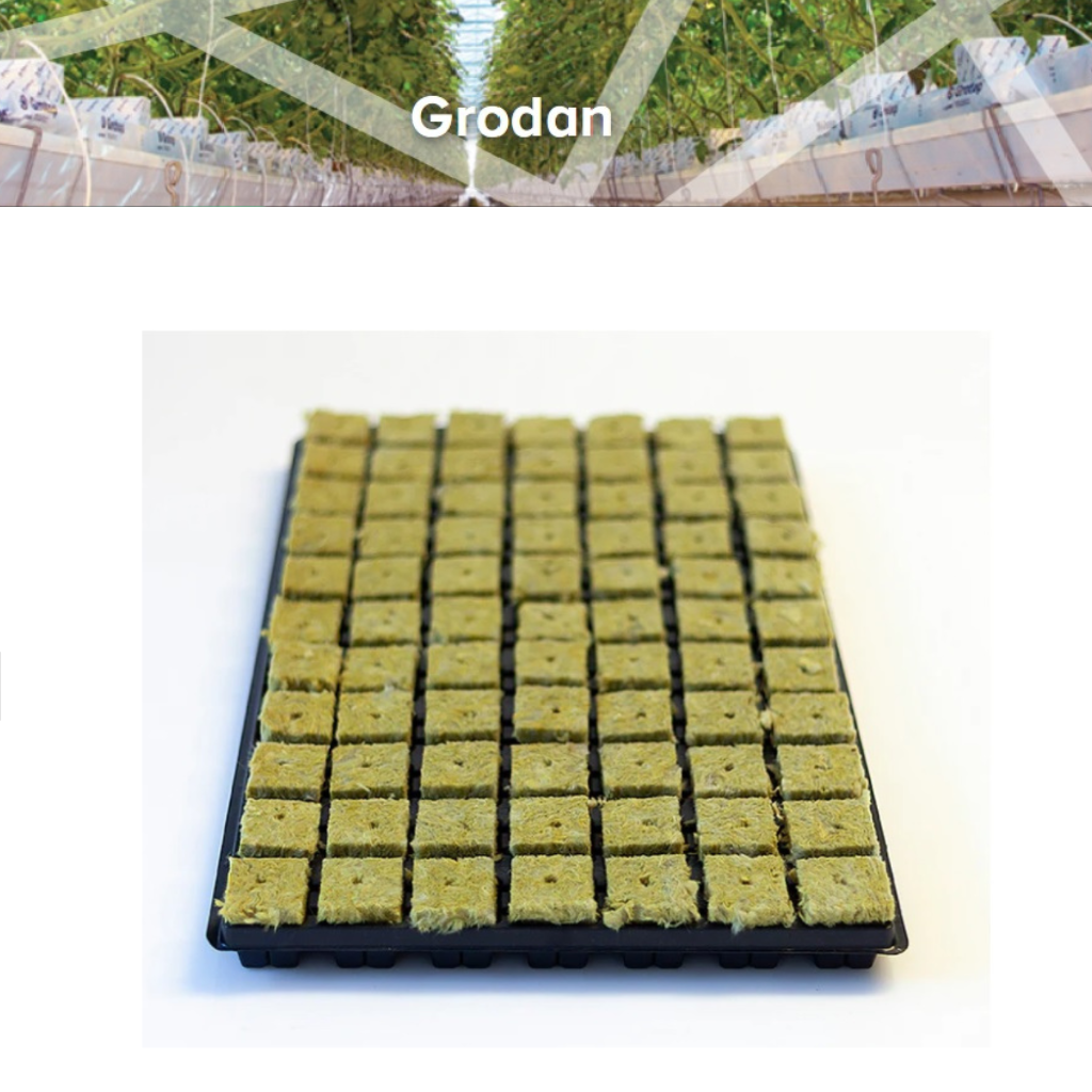 Grodan SBS Large Tray 77 Large hole
