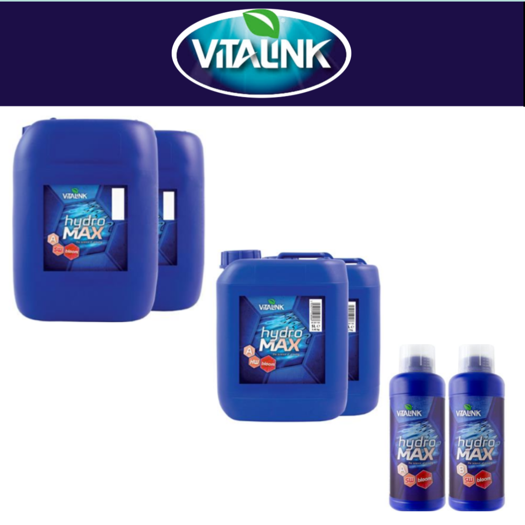 VitaLink Hydro Max Bloom