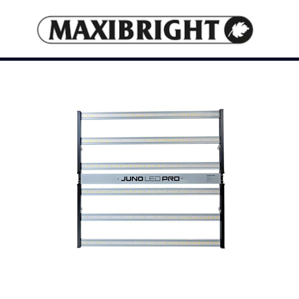 Maxibright Juno LED 720W Pro Grow Light
