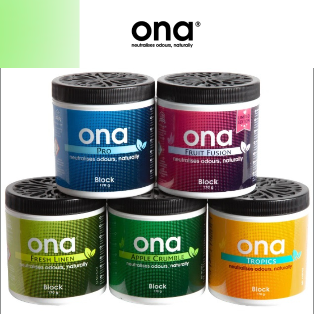 ONA Blocks