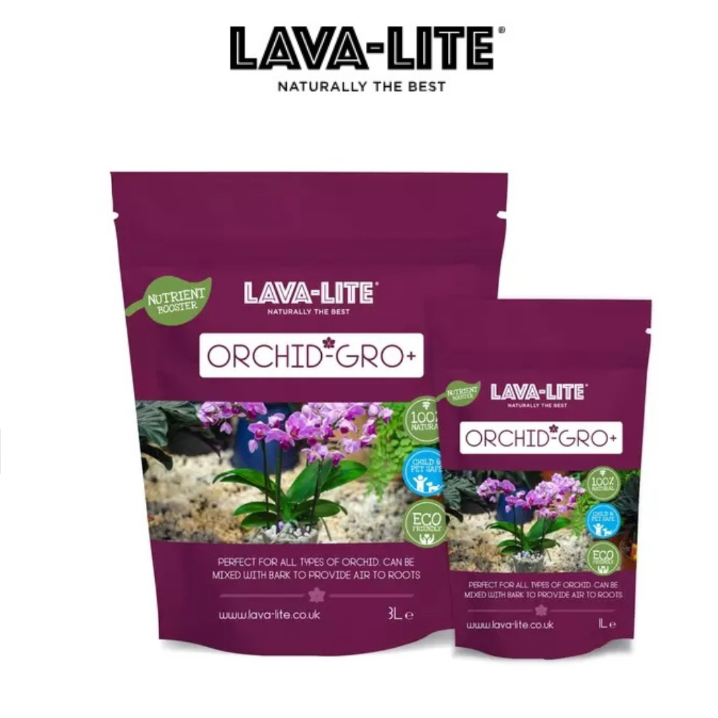 Lava Lite Orchid Gro+