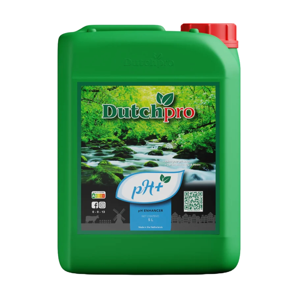 Dutch Pro pH UP+ 5L (MAIN)