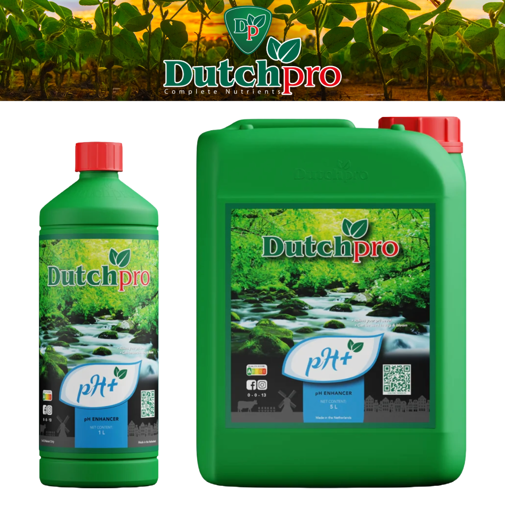 DutchPro pH Up+