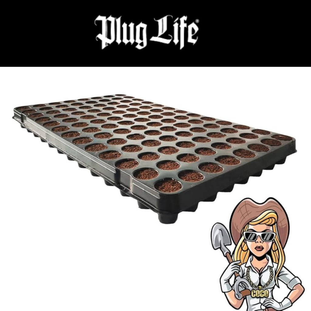 Plug Life Color Plug Life – Senua Hydroponics