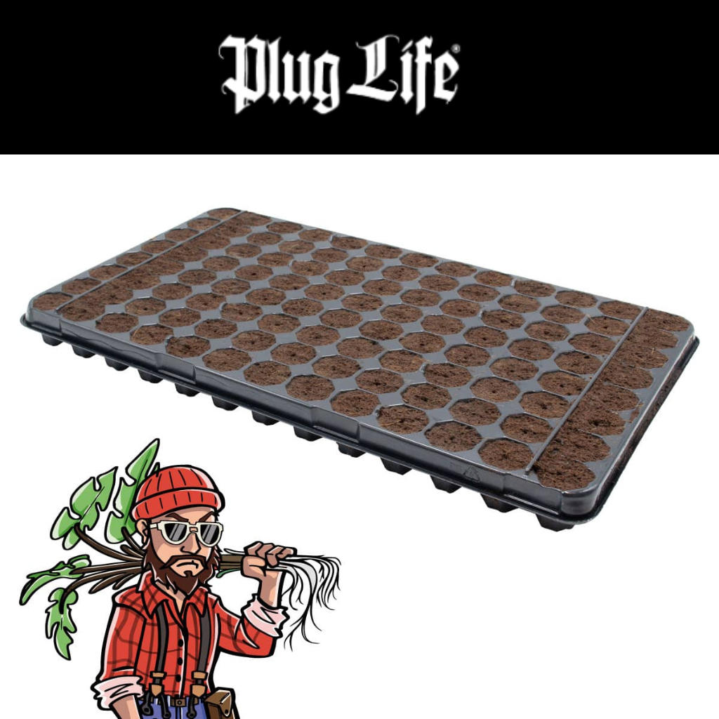 Plug Life Wood Fibre Seed