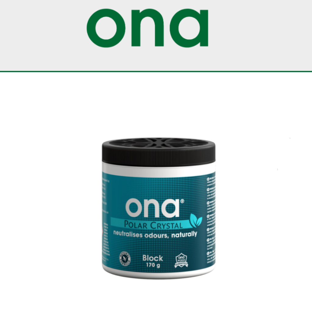 ONA Blocks