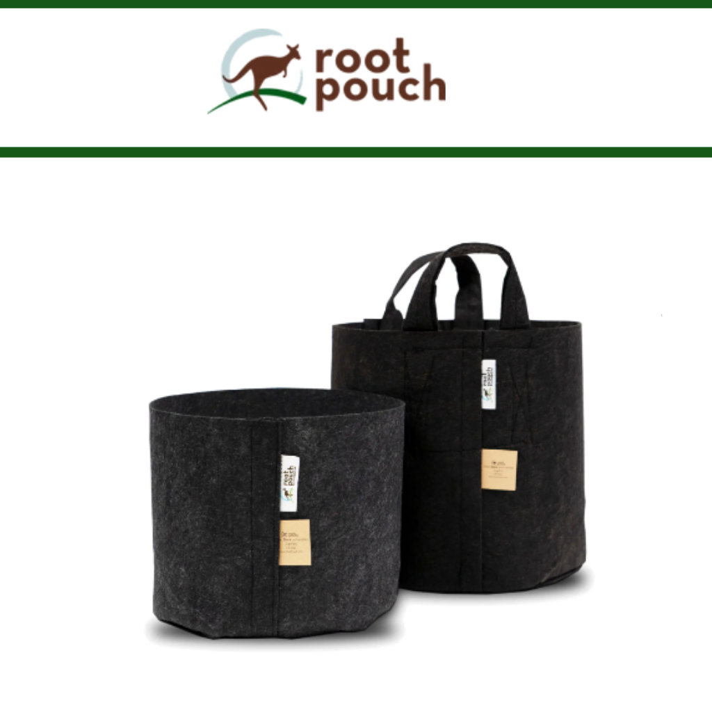 Root Pouch Black Fabric Pots with Handles