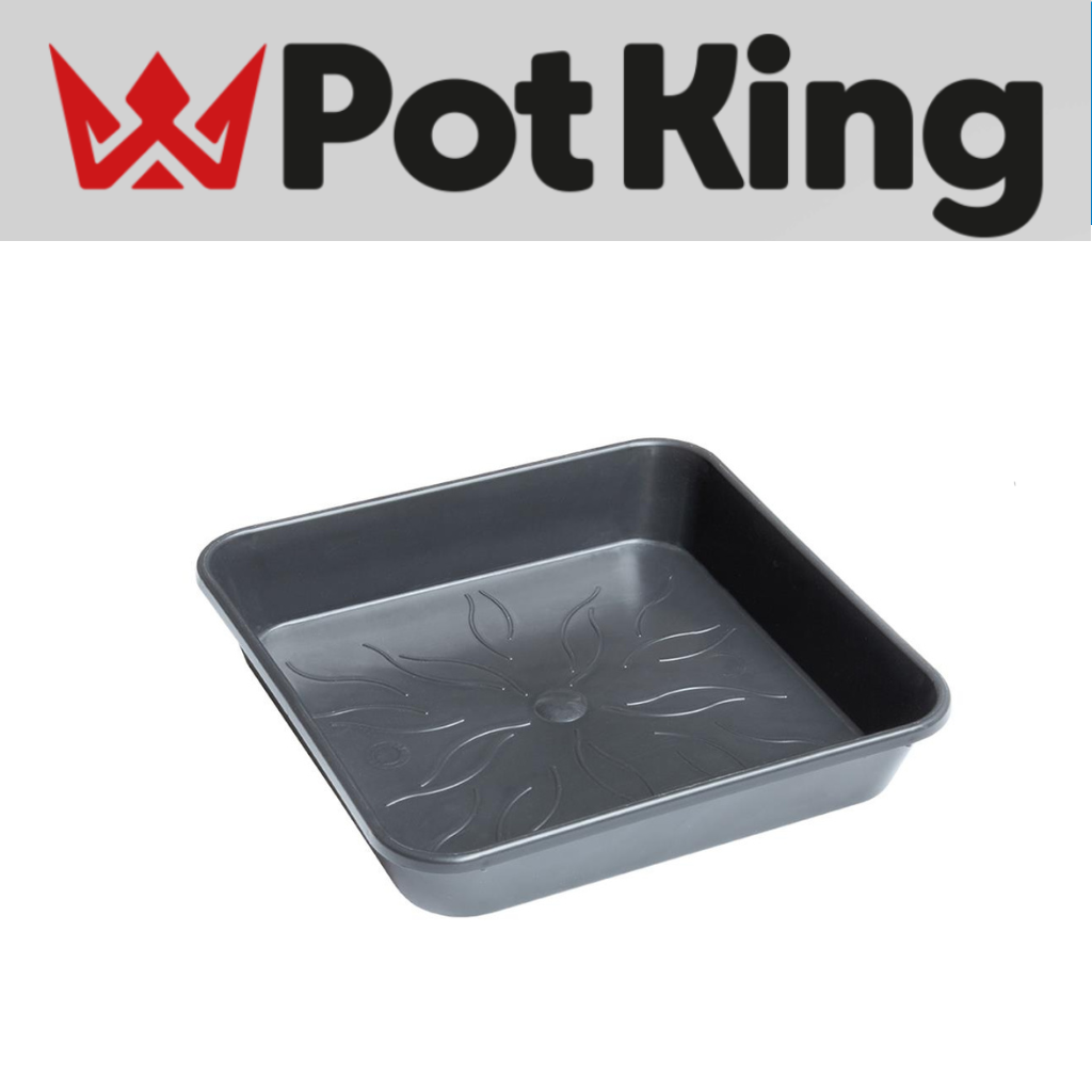 PotKing Black Square Saucers
