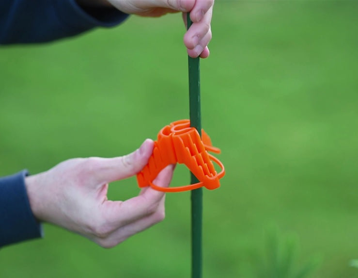 Stringy-Thingy
