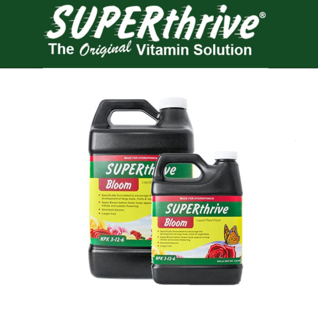 Superthrive Bloom