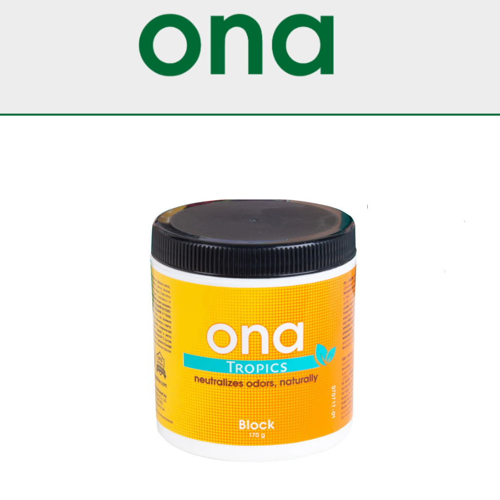 ONA Blocks