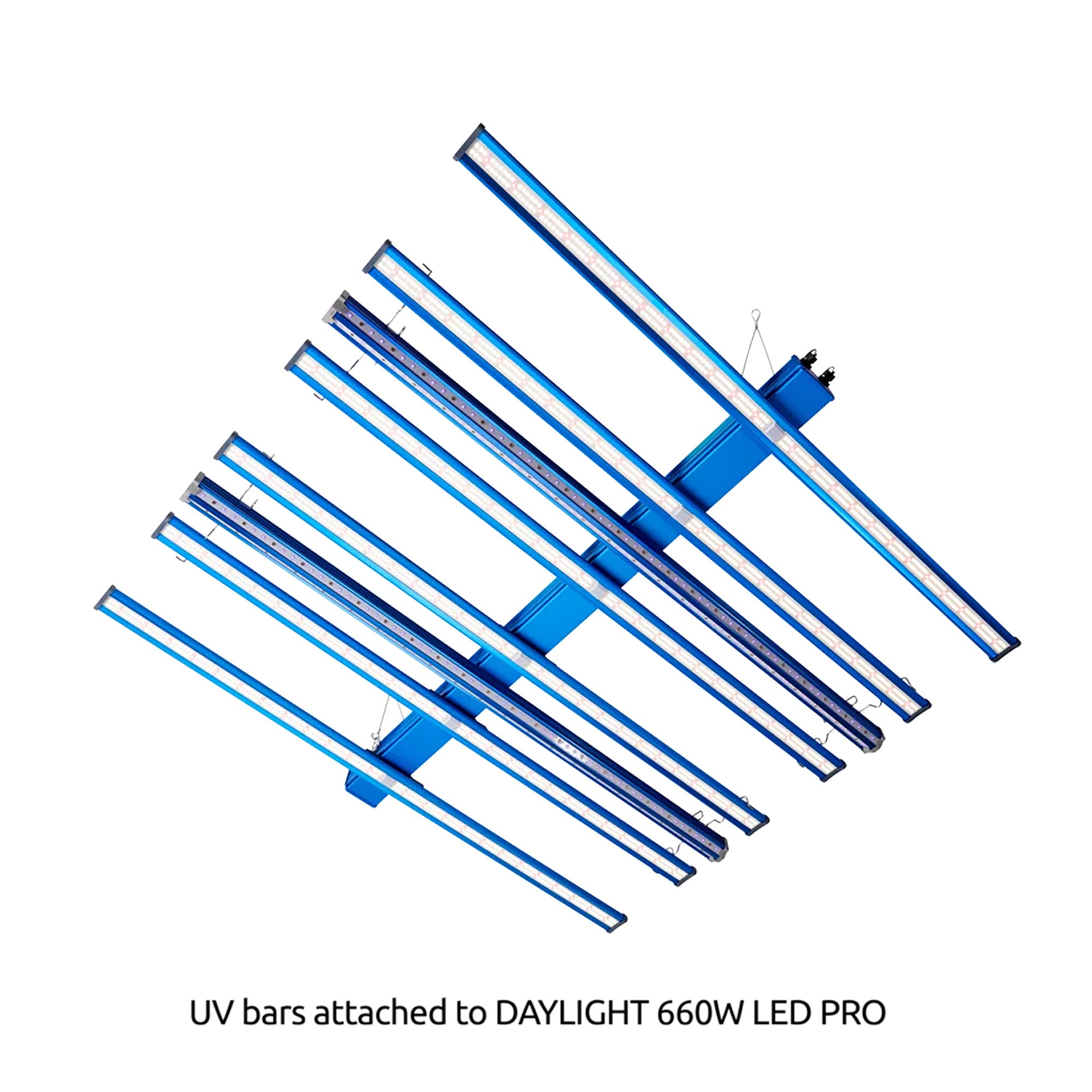 Maxibright DAYLIGHT LED 60W 100% UVA