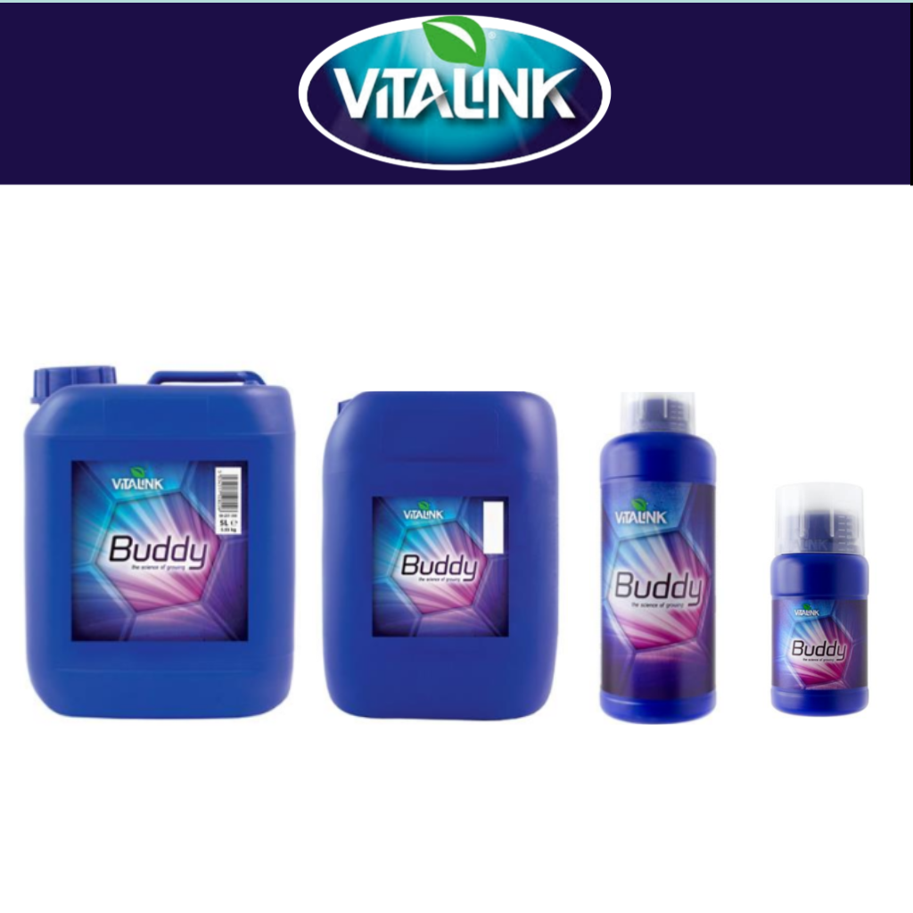 VitaLink Buddy